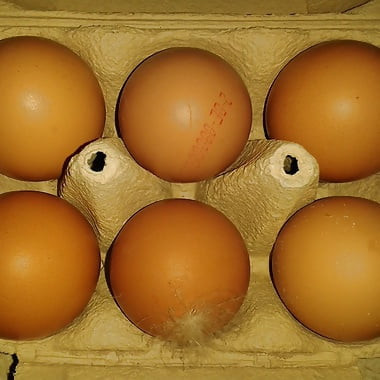 hexor70