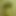 Here4DPorn