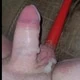 Bussytight