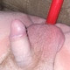 Bussytight