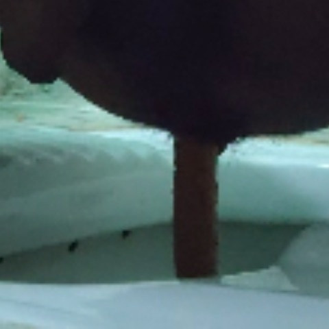 Manevaibhav239