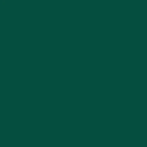 Leonv8542