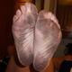 darthfootlover