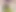 Pan_66