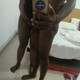 Iconiceequation3040