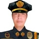 Ryanpoging