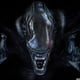 neron81