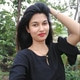 abbasi1Forest