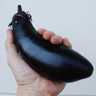 japaneggplant