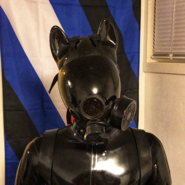 NordHusky