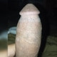 daddy1136