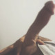 Medou16dz-