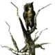 NightOwl129