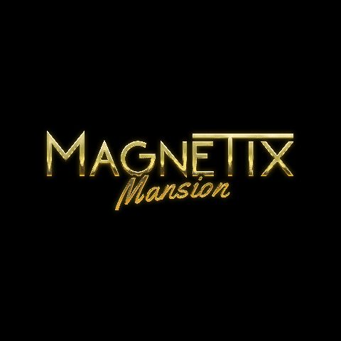 MagnetixStudios