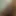 Shan_Perera_