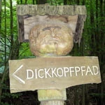 konstima