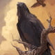 Grimner