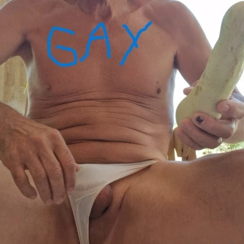 gayste61