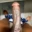 TallHungBBC418