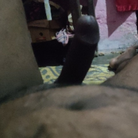 HarryingBalata