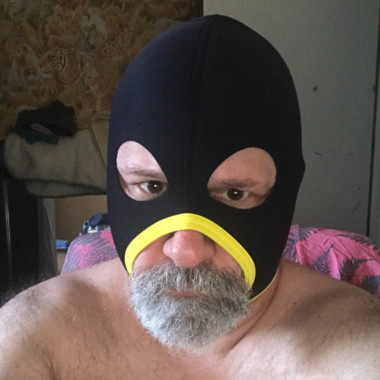 Phillybearpig
