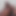 Tamilxvid