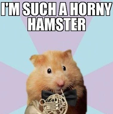 Horny-Hamster69