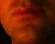 borntoswallow