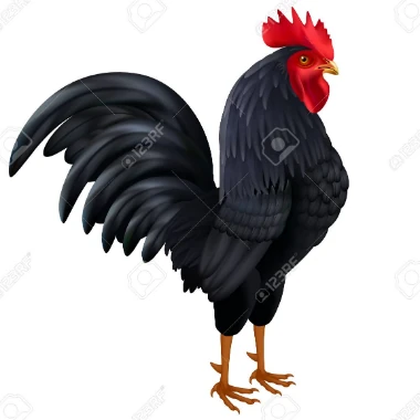 twarez2