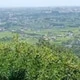TomAdamcz