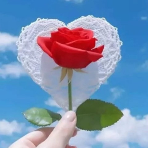 Saddamhossan247