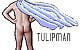 tulipman