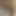 Mrchampx