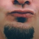 Kriswho