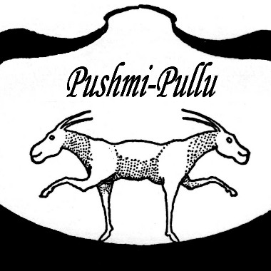 pushmi