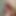 BnBuddy
