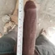 Raj8059
