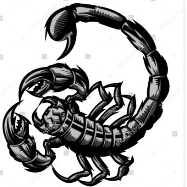 Scorpion901