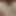 theasiansexlovers