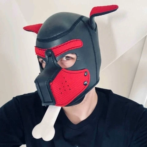 ThePupGala