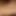 bornude
