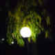 smsaddamhossain