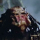 Predator02