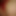 shima-