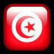boytunis