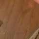Mike_zombies22