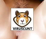 viruscunt