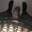 Bisex573