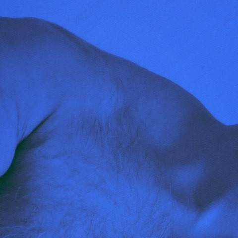 BiLatinoBear