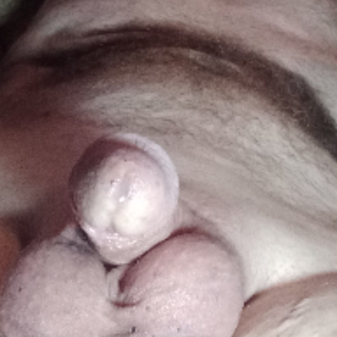 sniffer2021